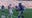 Seahawks look to bounce back against Jaguars in Week 6