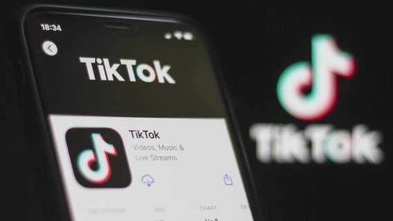 TikTok ban: Federal appeals court upholds law requiring sale of app in the U.S.