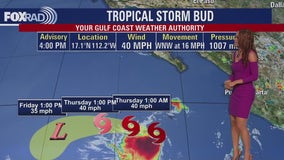 Tropical Weather Forecast - Monitoring Tropical Storm Bud in Pacific