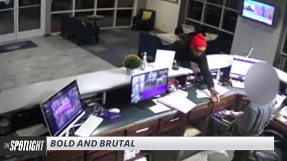 The Spotlight: Bold and brutal