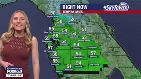 Tampa weather | Mild conditions for Christmas