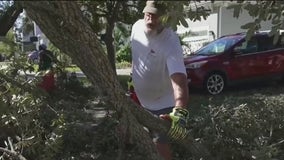 Massive cleanup efforts underway in wake of Hurricane Milton