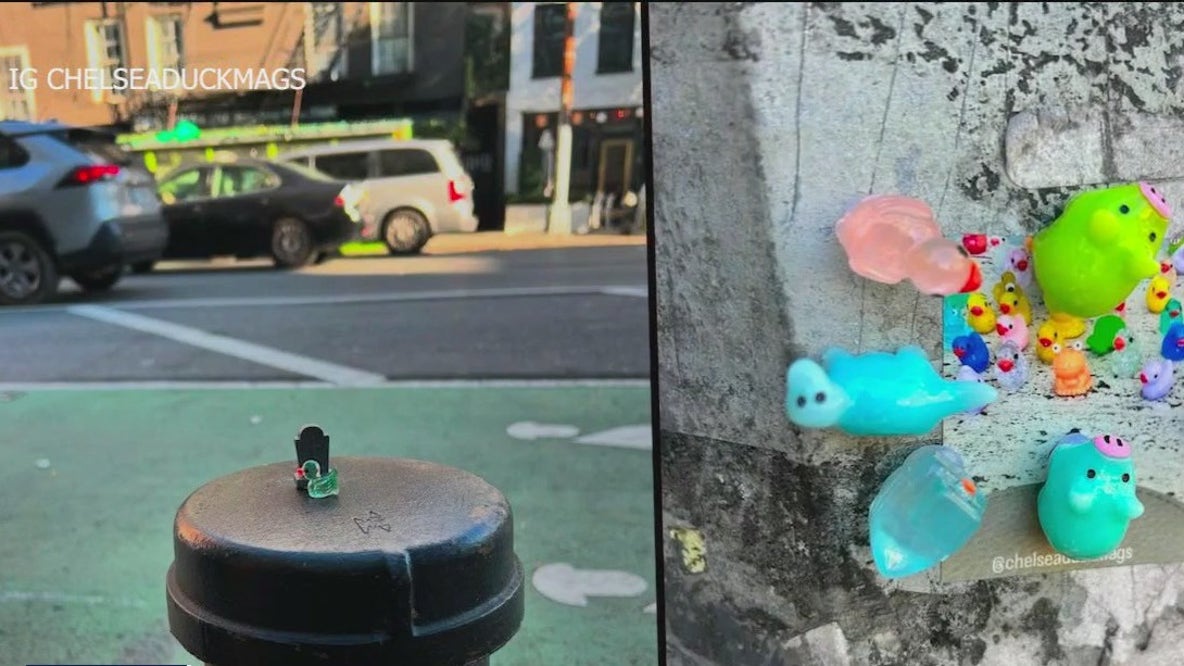 Mini duck mystery unfolds in Chelsea