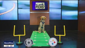 Poppy picks the winner of the Cowboys vs Steelers game