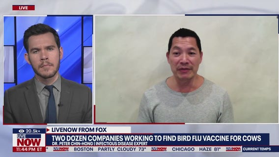 Bird flu infects more farmworkers than previously known, CDC says
