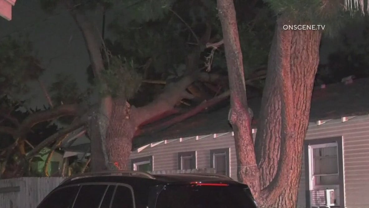 Tree falls on home in Pomona