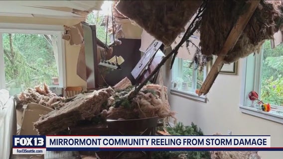 Trees topple onto family homes in Mirrormont, WA