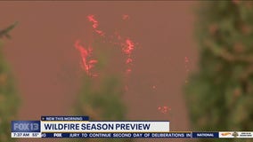 Previewing wildfire season