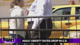 CDC: Adult obesity rates drop in U.S.