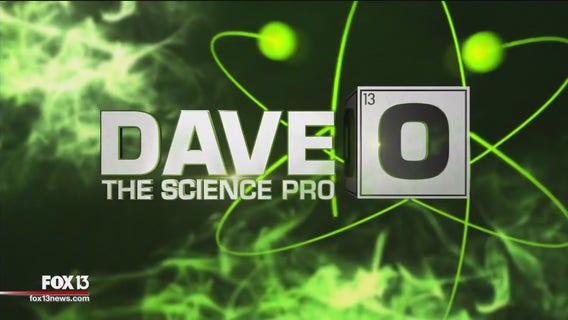 Dave o the Science Pro