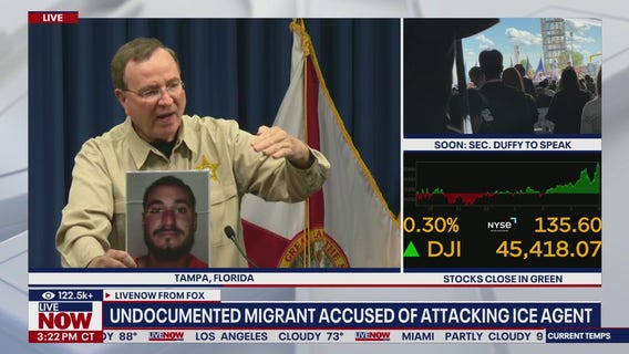 ICE agent allegedly attacked by burglary suspect