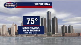 Mild temps continue with chance of rain Wednesday