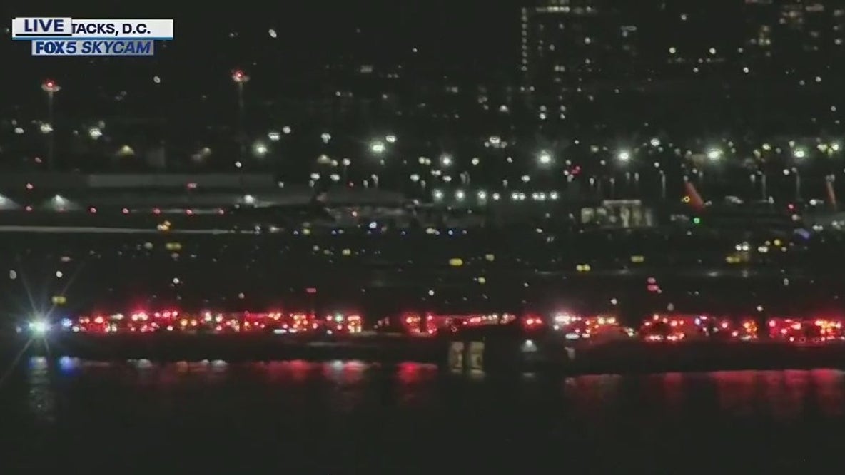 Plane crashes into Potomac River