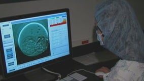 IVF affordability: The cost of starting a family