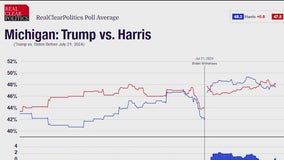 Presidential Election 2024: Who's winning in the polls?