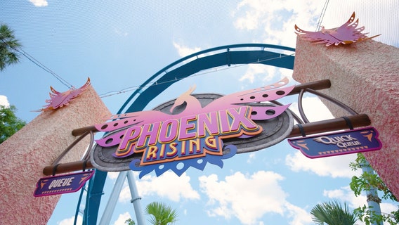 Busch Gardens debuts new Phoenix Rising roller coaster