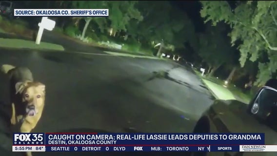 Pup helps rescue 86-year-old Woman after fall in Destin