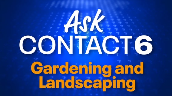Episode 10: Gardening and landscaping