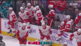 Red Wings topple San Jose in shootout