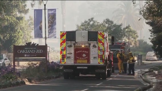 Oakland Zoo evacuated due to vegetation fire