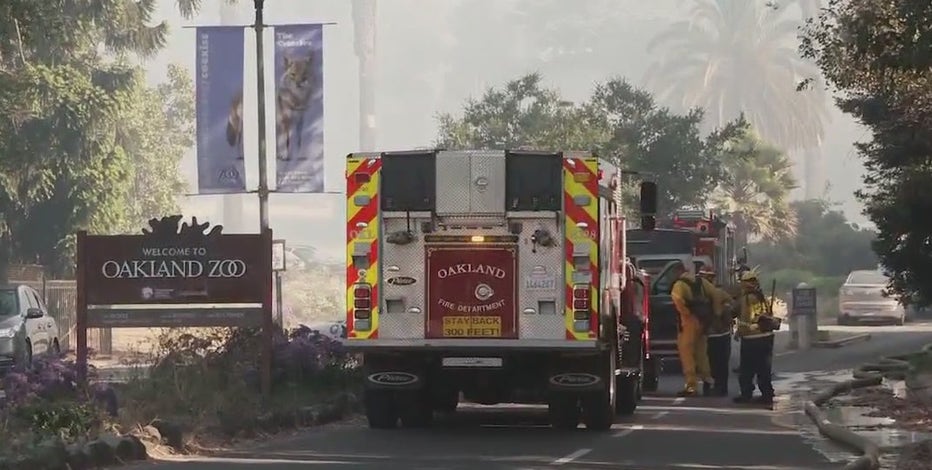 Oakland Zoo evacuated due to vegetation fire