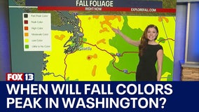 When to see fall colors in Seattle, WA