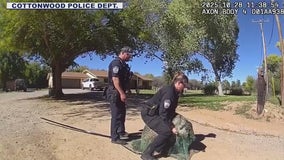 Loose emu prompts 911 calls, traffic troubles in Cottonwood