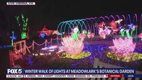 Winter Walk of Lights at Meadowlark's Botanical Garden
