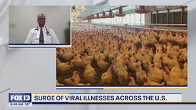 US seeing surge of viral illnesses