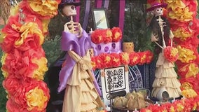 Domes' Dia de Los Muertos fun and education