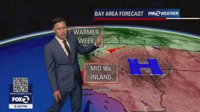 Mild to warm