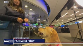 Goodbye Foxy! Florida guide dog starts next training chapter