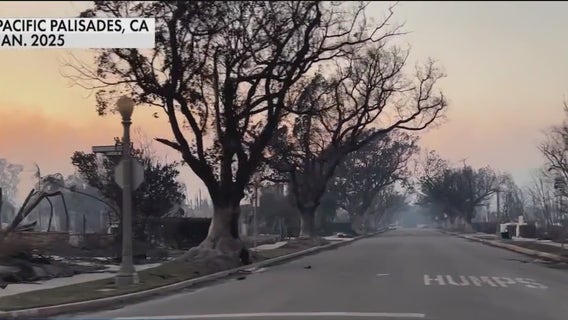 $10B lawsuit in Palisades Fire