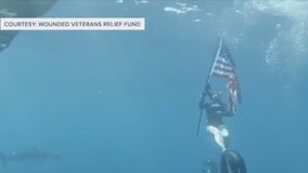 Veterans swim with sharks