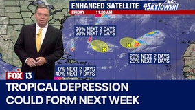 Potential tropical system could become depression in Gulf of Mexico next week