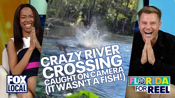 Monkeys make a splash at Silver Springs | Florida For Reel