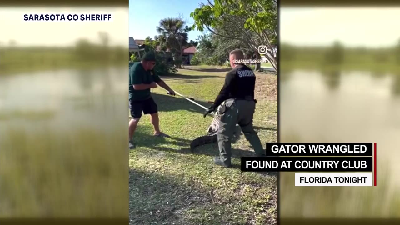 Florida Tonight: Episode 16