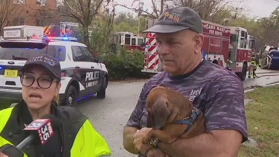 Florida truck driver, dog in truck when tornado hit