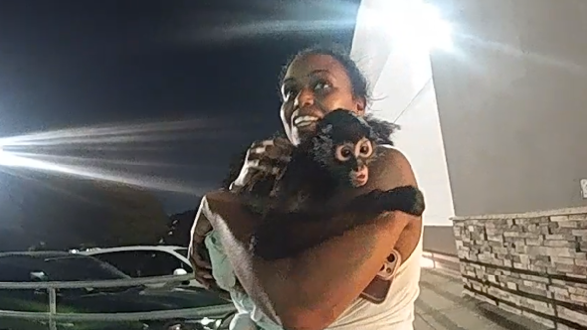 Pet monkey seen leaving Texas Spirit Halloween with owner in new bodycam
