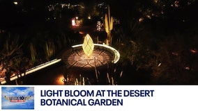 Desert Botanical Garden's Light Bloom | Drone Zone