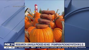 Pennsylvania pumpkin patch named bests in the U.S.