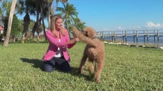 Breast cancer survivor recounts journey