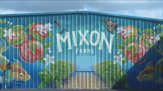 Big plans for Mixon Farms
