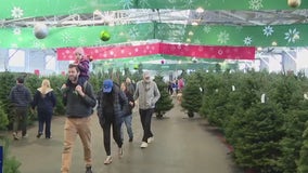 The Guardsmen Tree Lot kicks off holiday season with a worthy cause