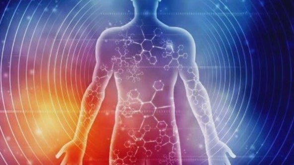 Prostate cancer: Treatment and diagnosis