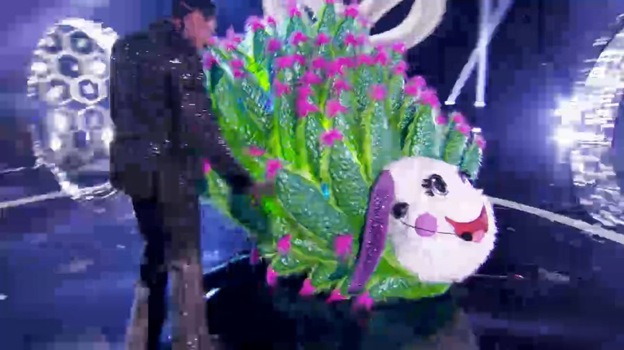 Leaf sheep says goodbye to 'The Masked Singer'