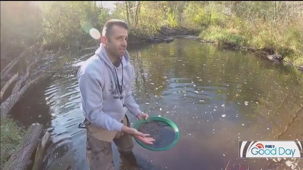 Going for Gold: Geologist finds flecks of treasure in the metro