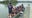 Father-daughter duo train for Dragon Boat World Championship