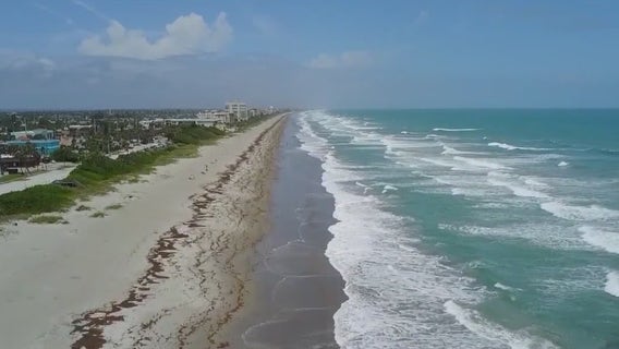 Commissioner hopes to make Brevard a 'Bill of Rights sanctuary county'