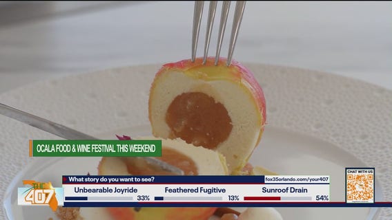 Ocala Food & Wine Festival: Your Weekend Feast Starts Now